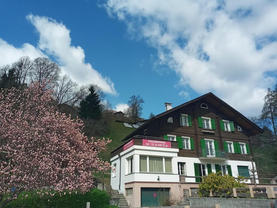 Property building, Spring, Garden
