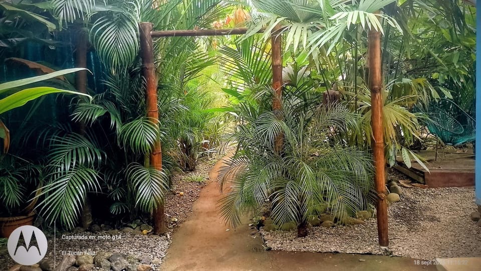 Natural landscape, Garden