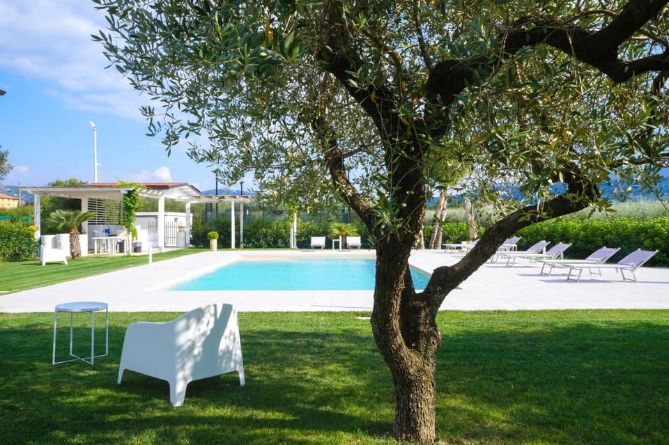 Garden, Swimming pool