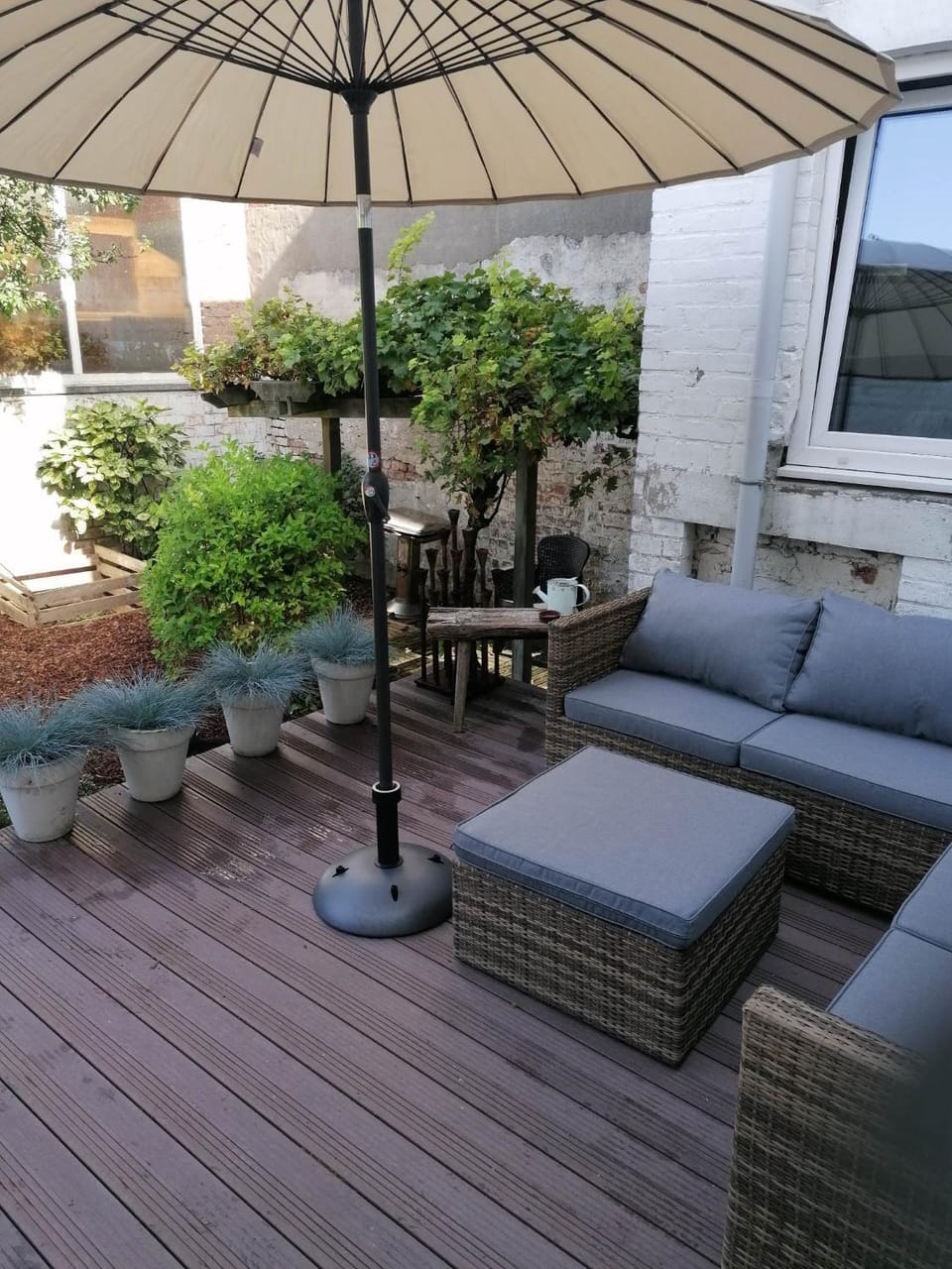 Garden, Balcony/Terrace