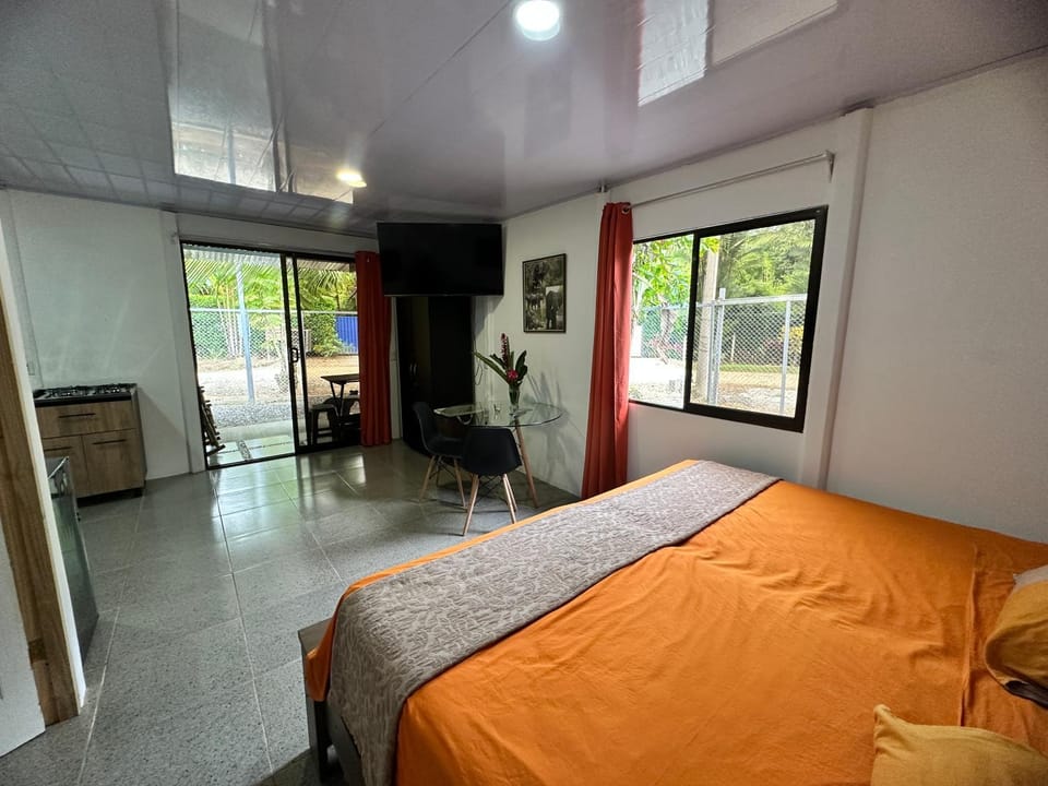 Bed, Kitchen or kitchenette, Living room, Photo of the whole room, Seating area, Bedroom