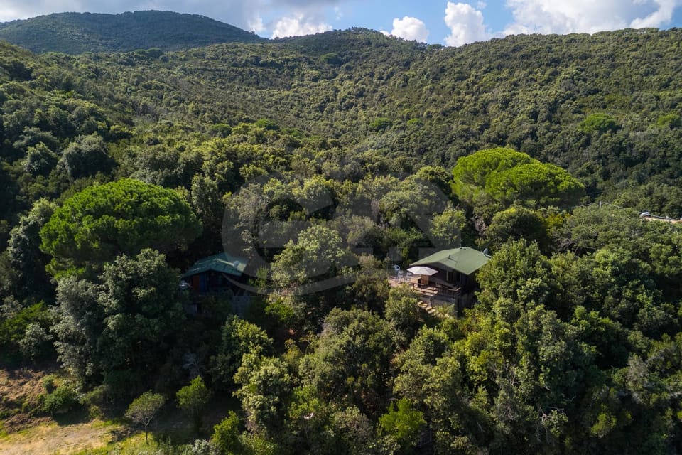 Casette nel Parco House in Portoferraio