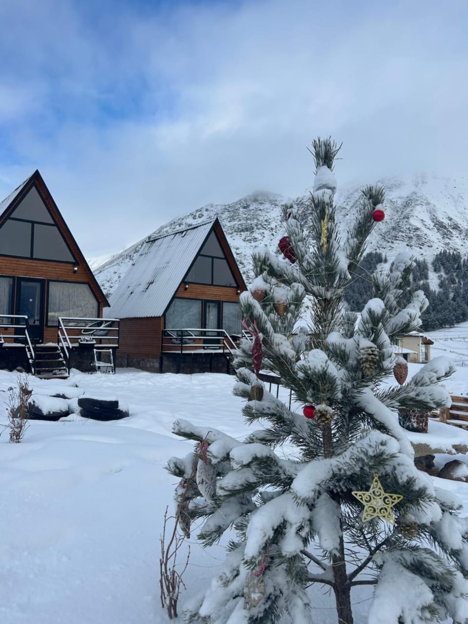 Property building, Winter