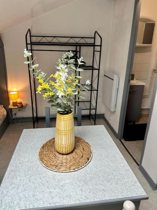 Studio proche Gare Apartment in Bourgogne-Franche-Comté