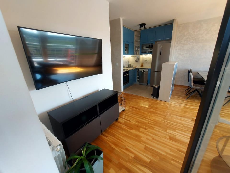TV and multimedia