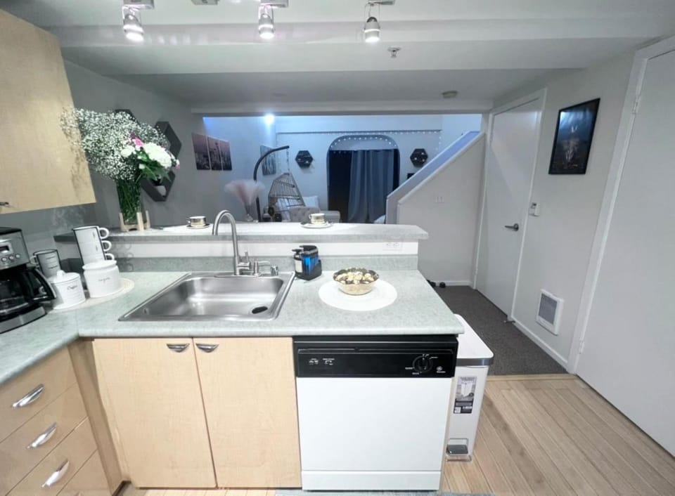 Kitchen or kitchenette, dishwasher