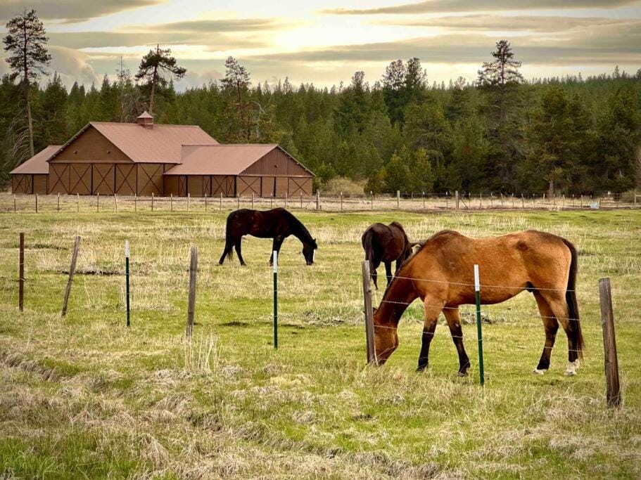 Horse-riding