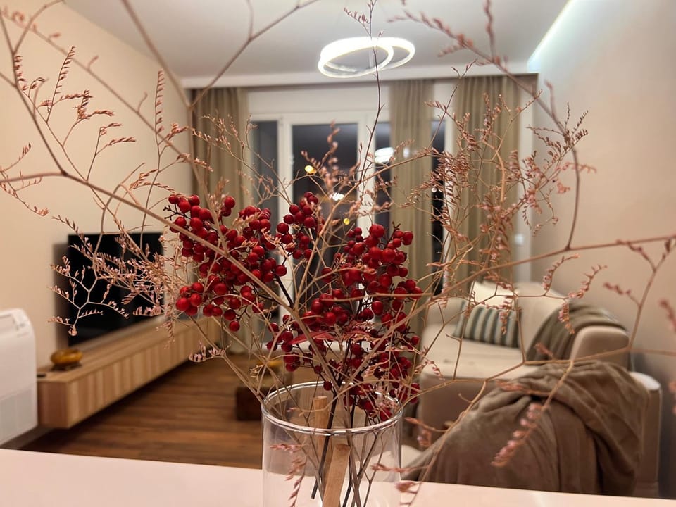 Center Lovely Apartament Apartment in Europe