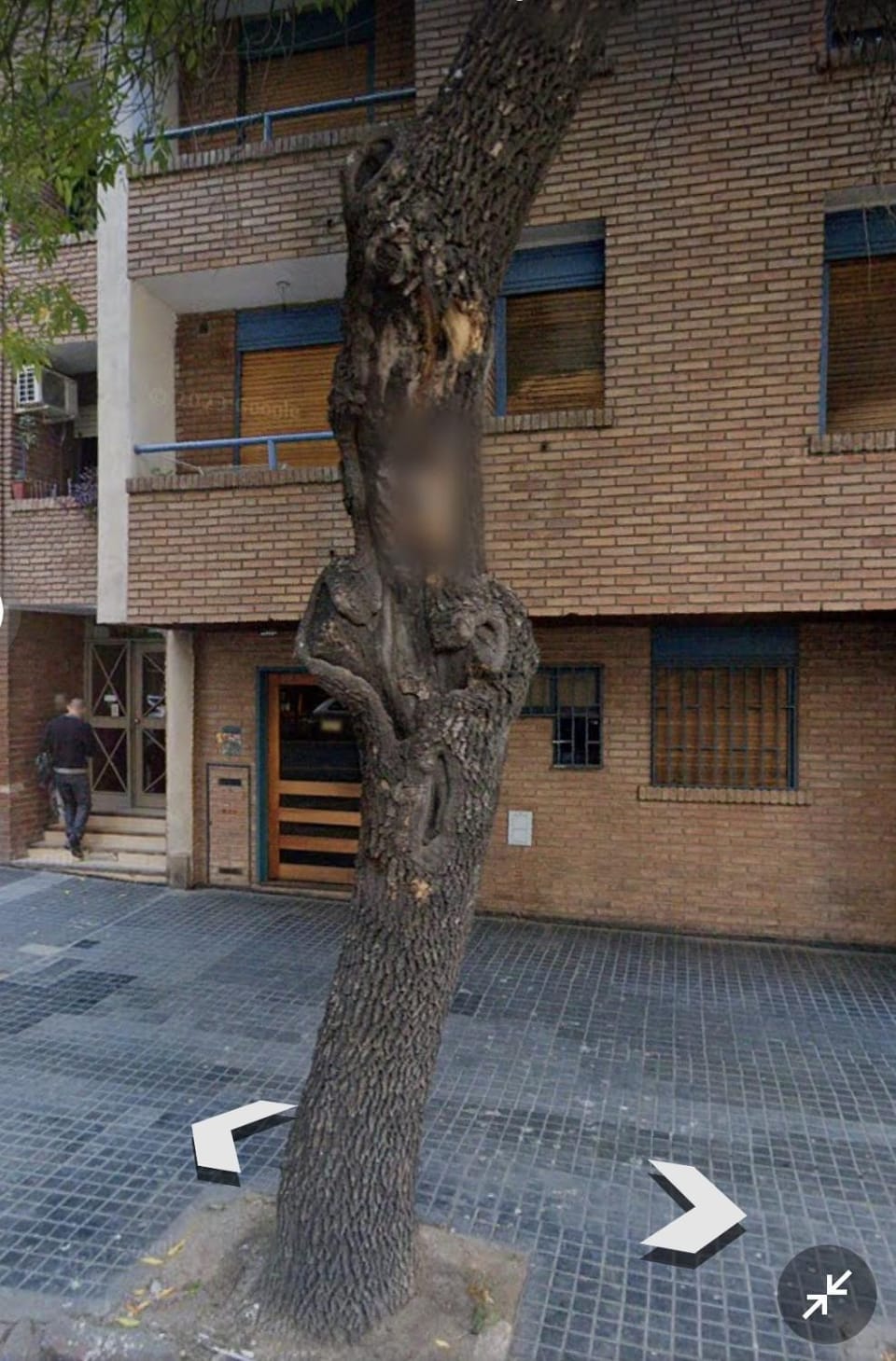 Property building, Neighbourhood, Street view