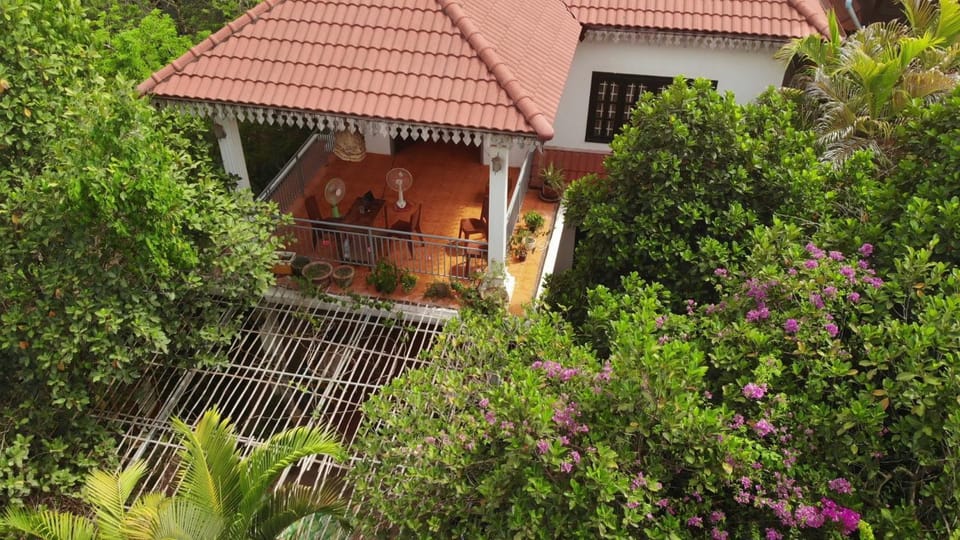 Property building, Garden, Garden view