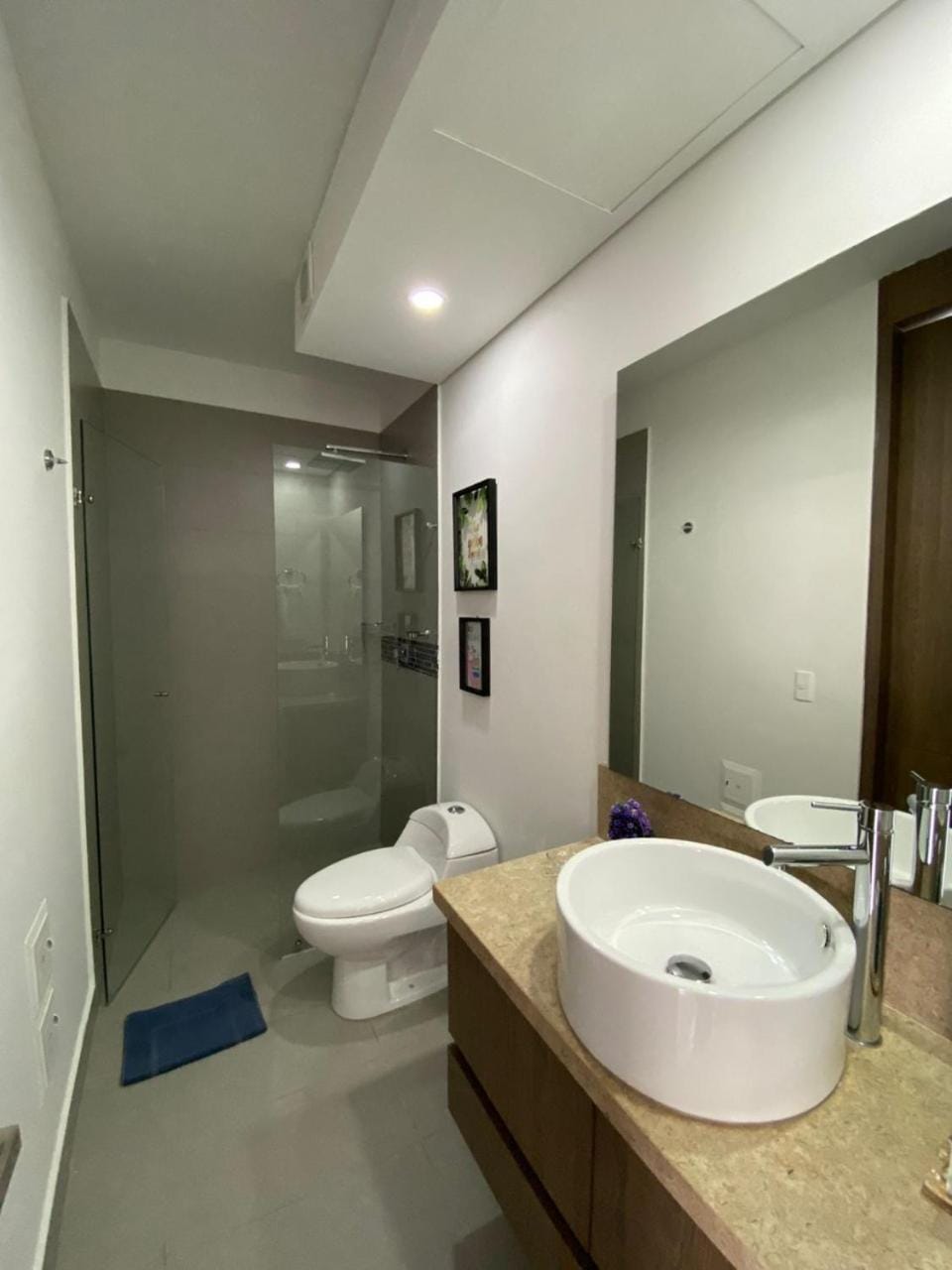 Shower, Toilet, Bathroom, towels