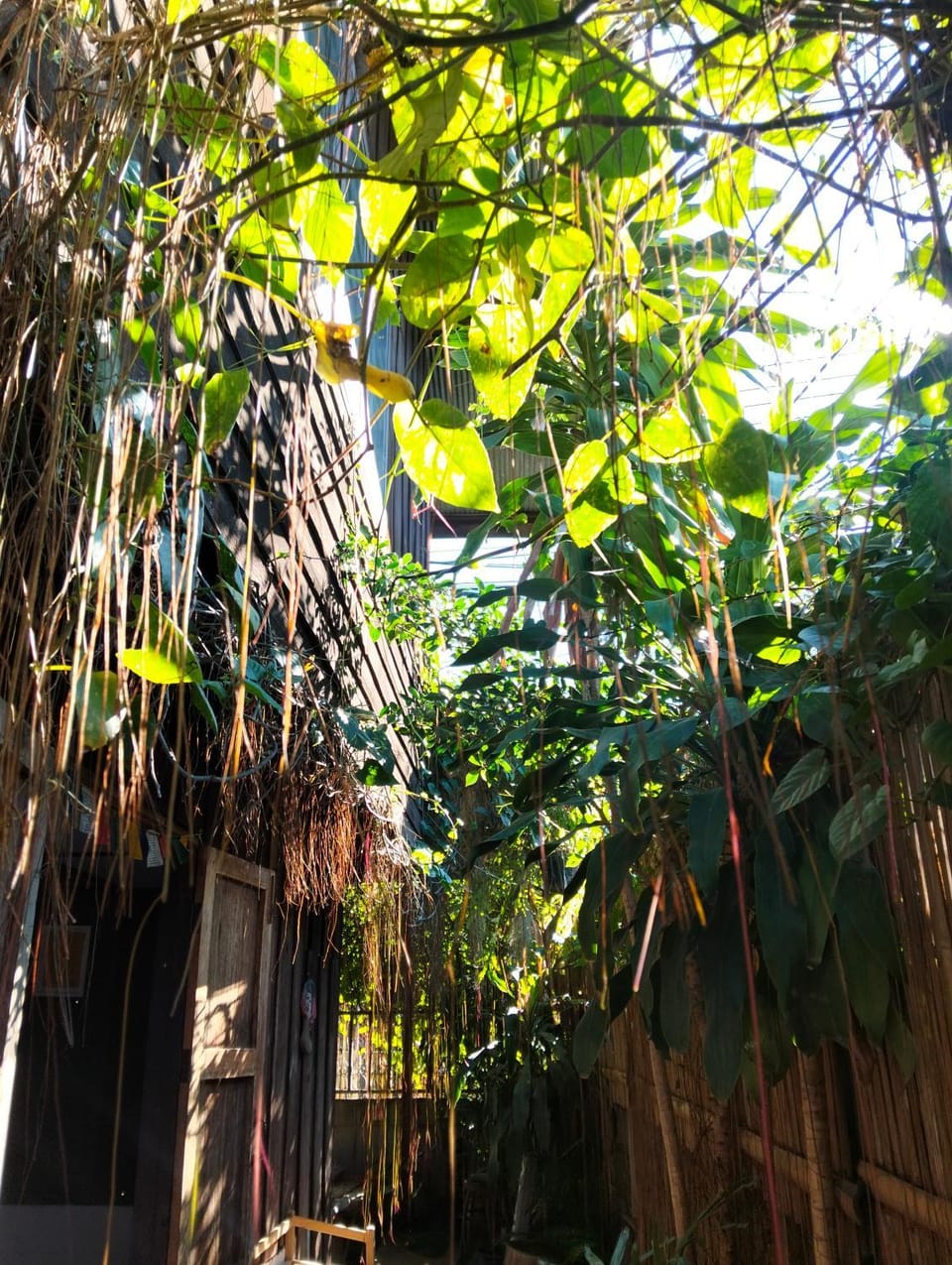 Imchai Hostel in Thailand