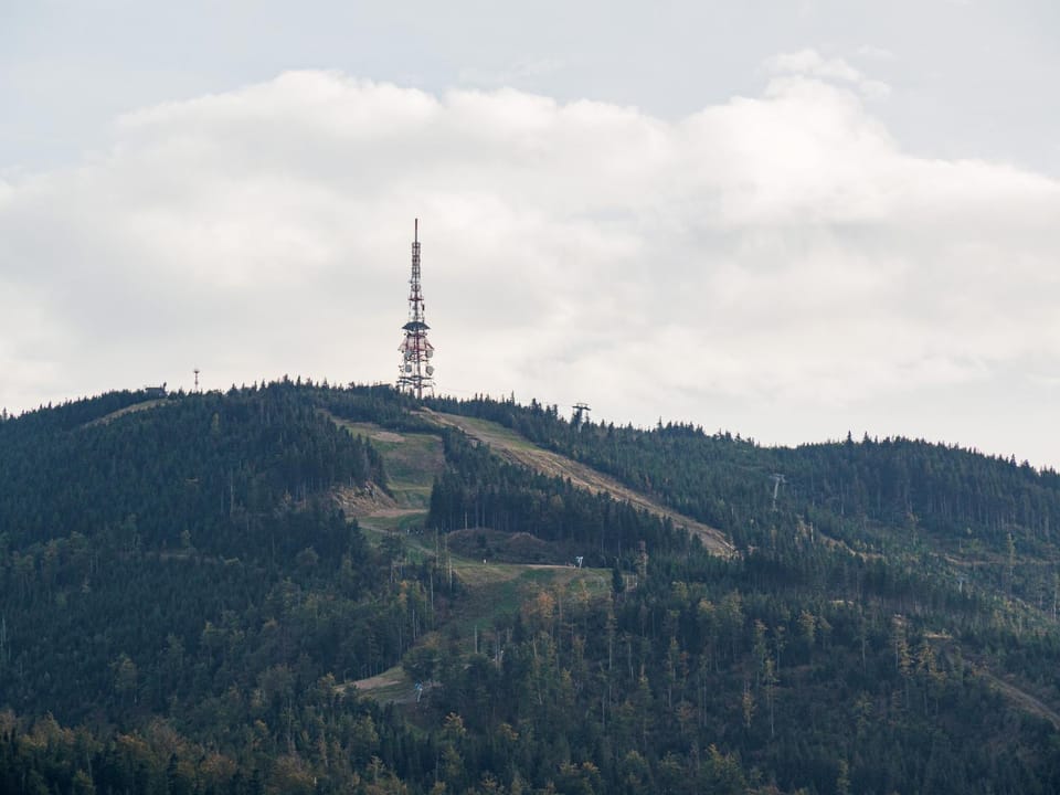 Mountain view
