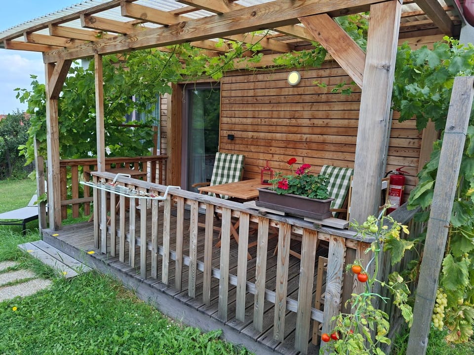 Spring, Garden, Garden view