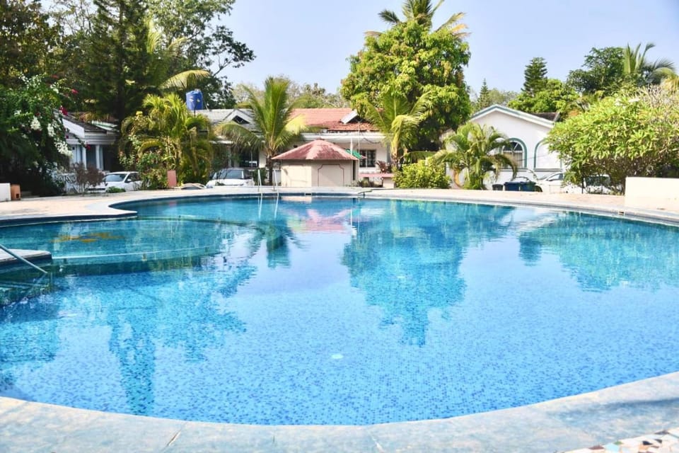 Swimming pool, Swimming pool
