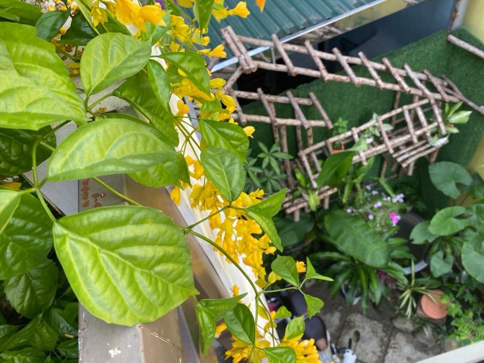 SEVEN HOMESTAY(HUE) Vacation rental in Laos