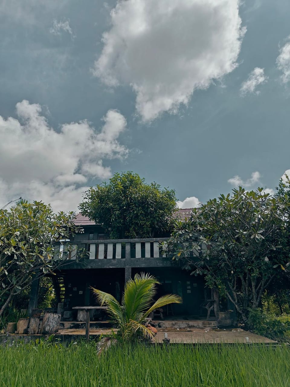 Property building, Spring, Day, Natural landscape, Garden, Garden view