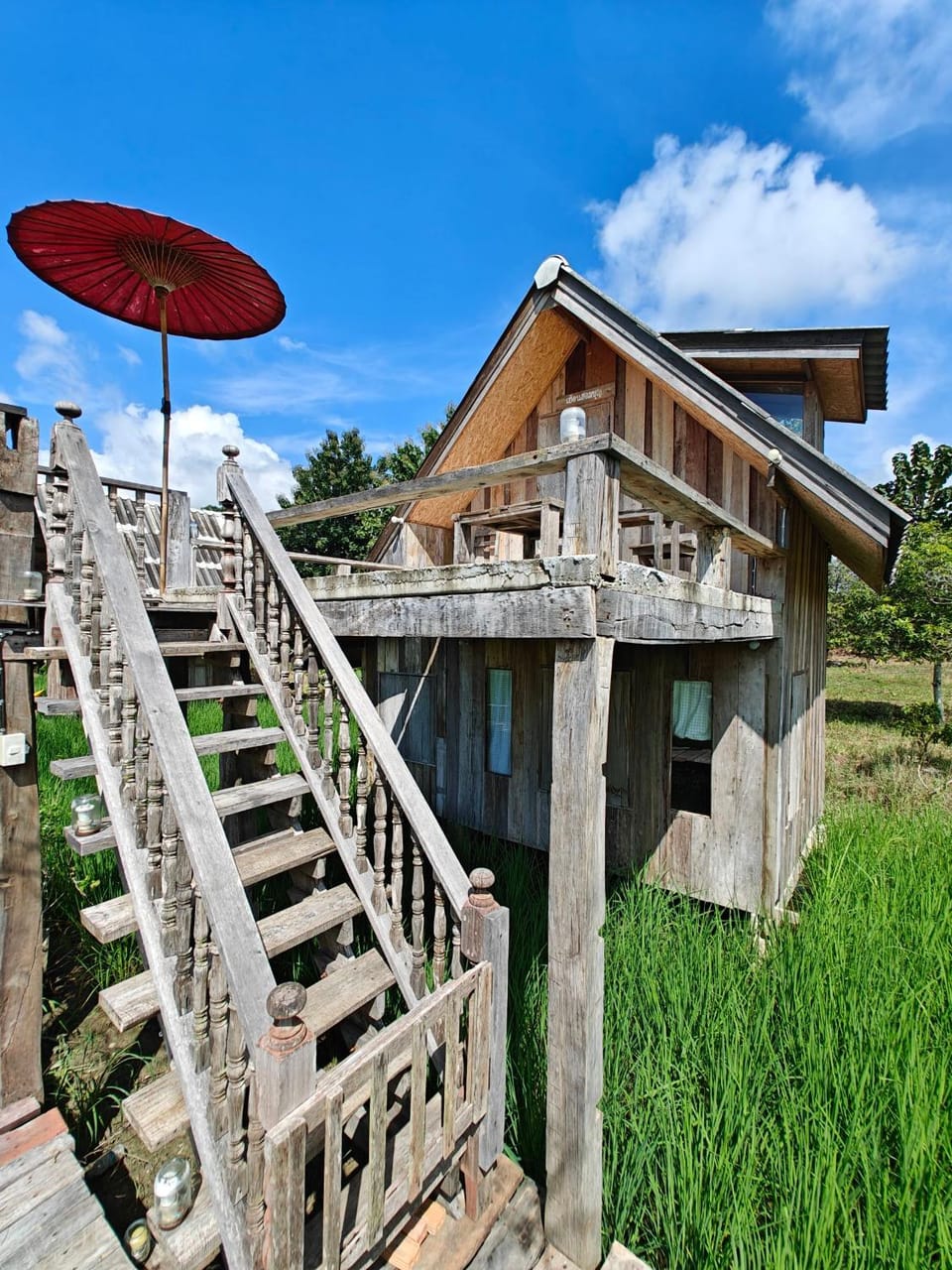 Property building, Spring, Day, Garden, Garden view