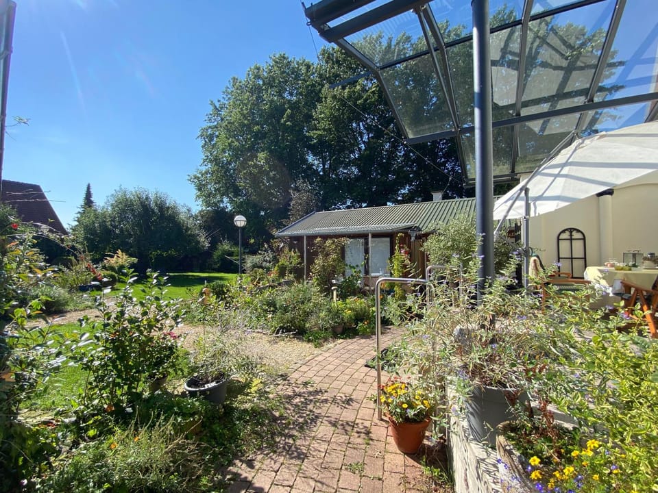 Property building, Garden, Garden view