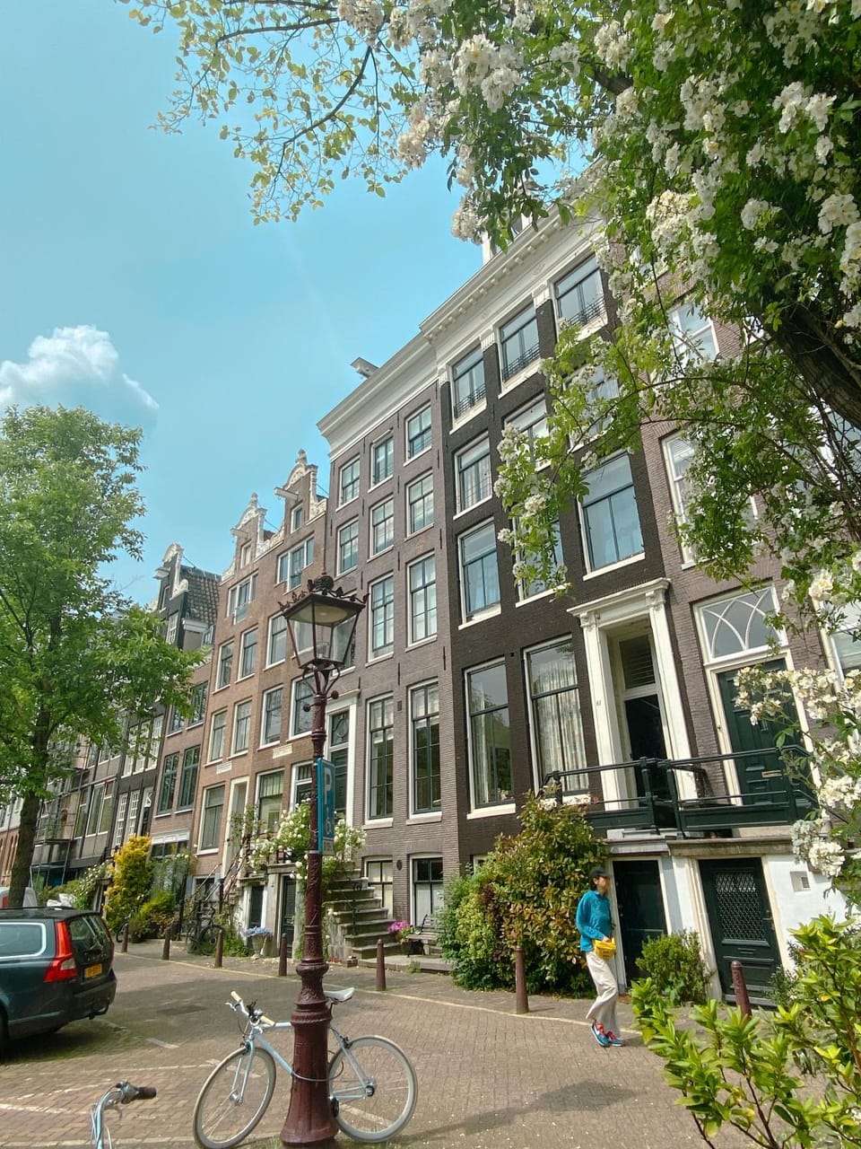 Property building, Day, Neighbourhood, Street view, Location