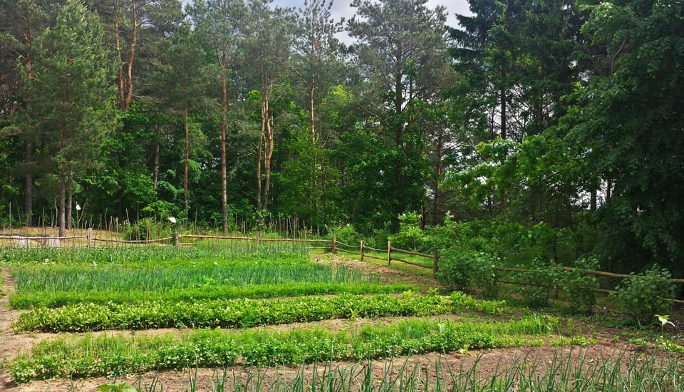 Pensjonat Alicja Bed and Breakfast in Poland
