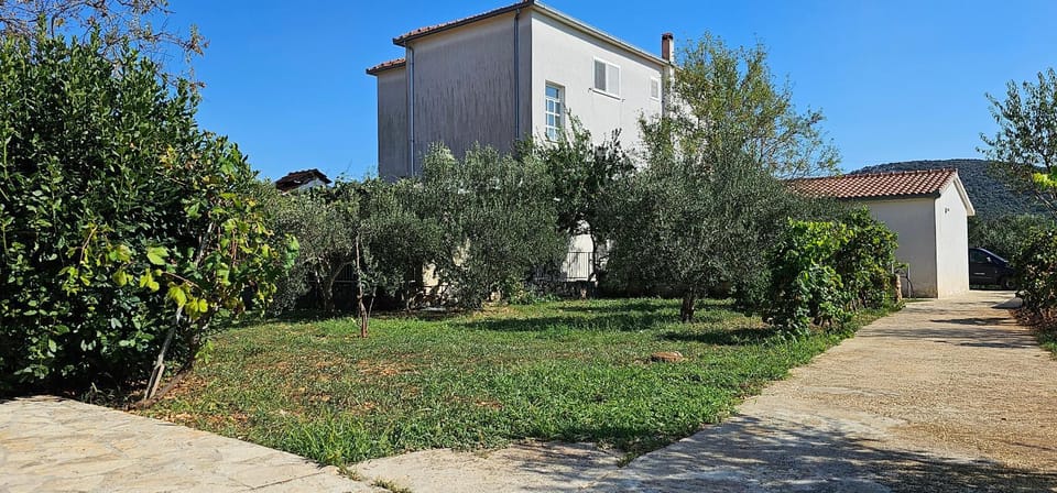 Day, Garden, Garden view