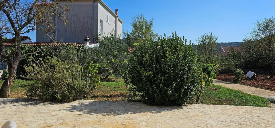 Day, Garden, Garden view