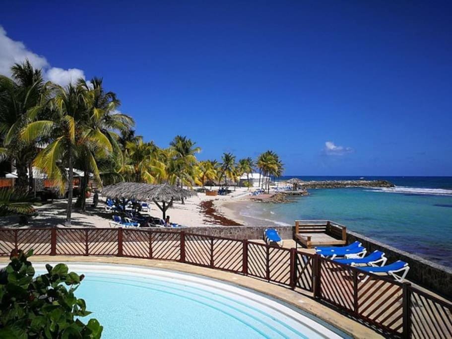Natural landscape, Beach, Swimming pool, sunbed