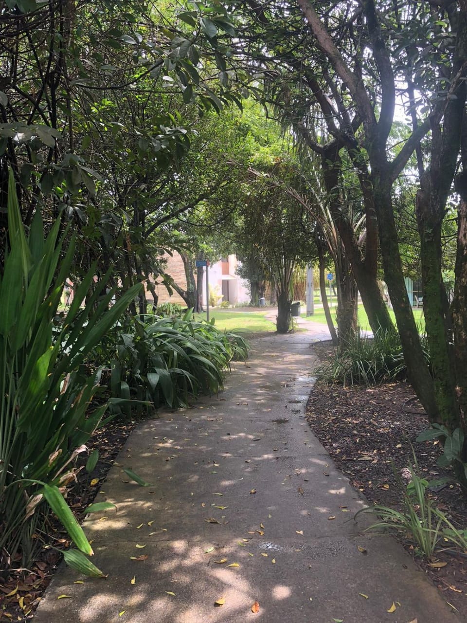 Garden, Garden, Garden view