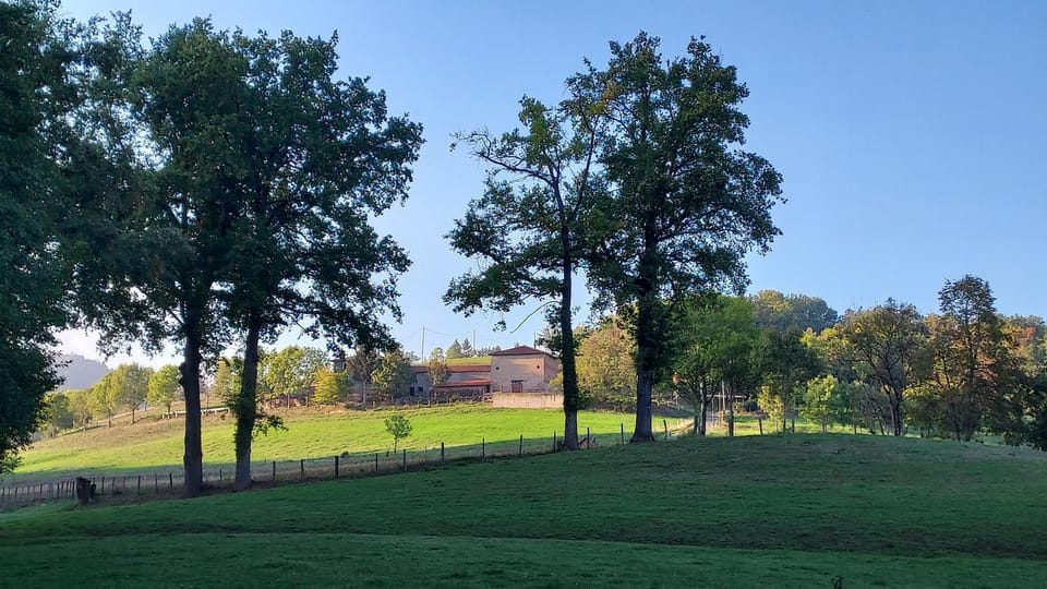 Natural landscape, Garden, Garden view