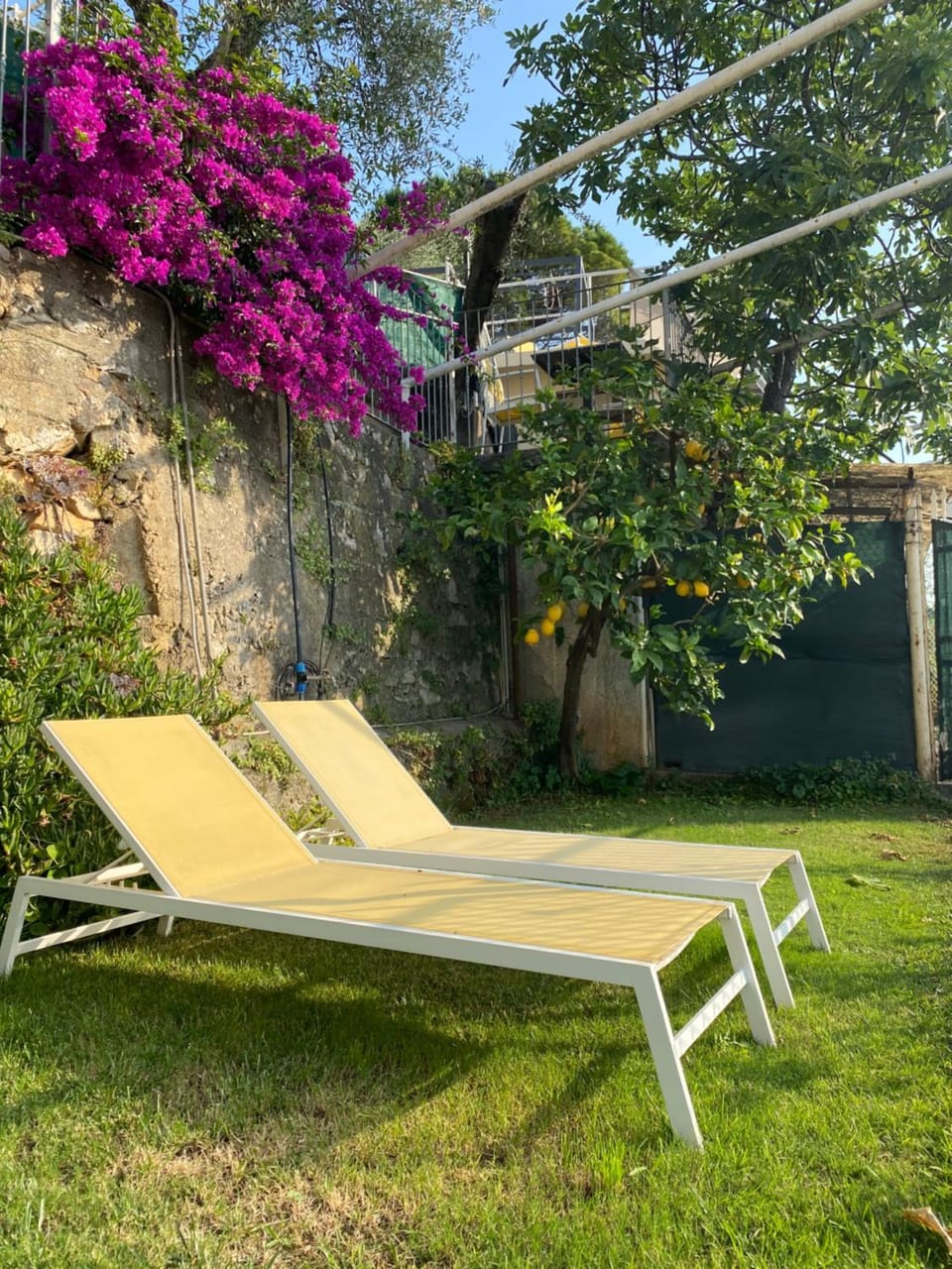 Garden, sunbed