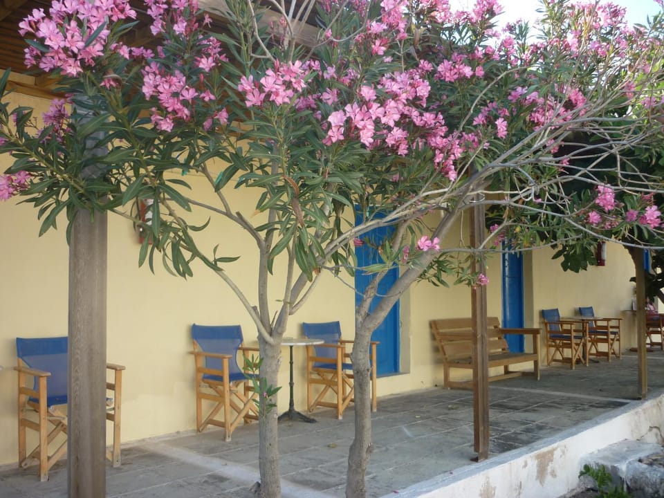 Facade/entrance, Area and facilities