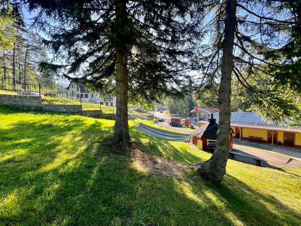 Nearby landmark, Spring, Day, People, Neighbourhood, Natural landscape, Garden, Garden view, group of guests