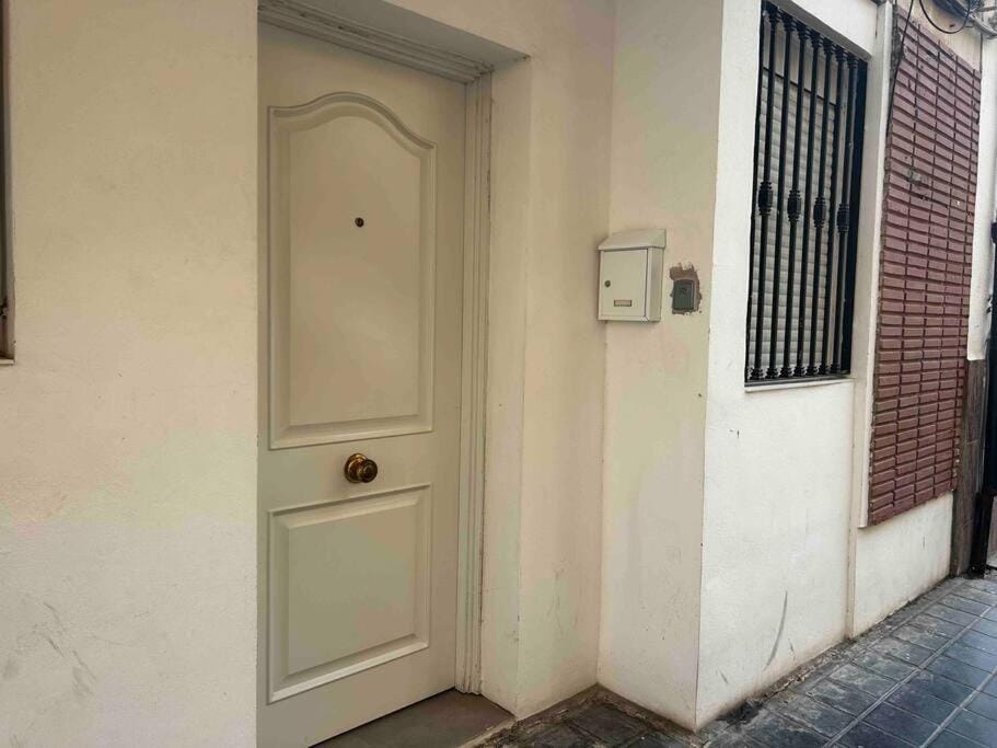 dama iberica II Apartment in Valencia
