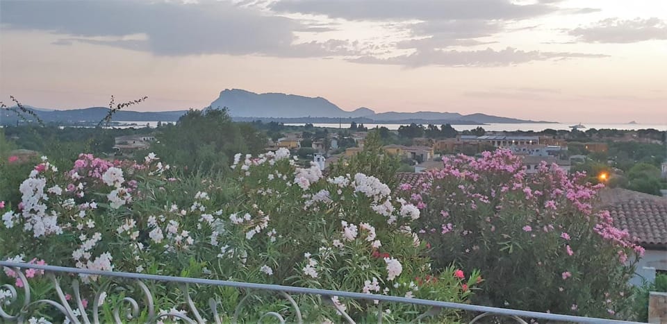 Sea view