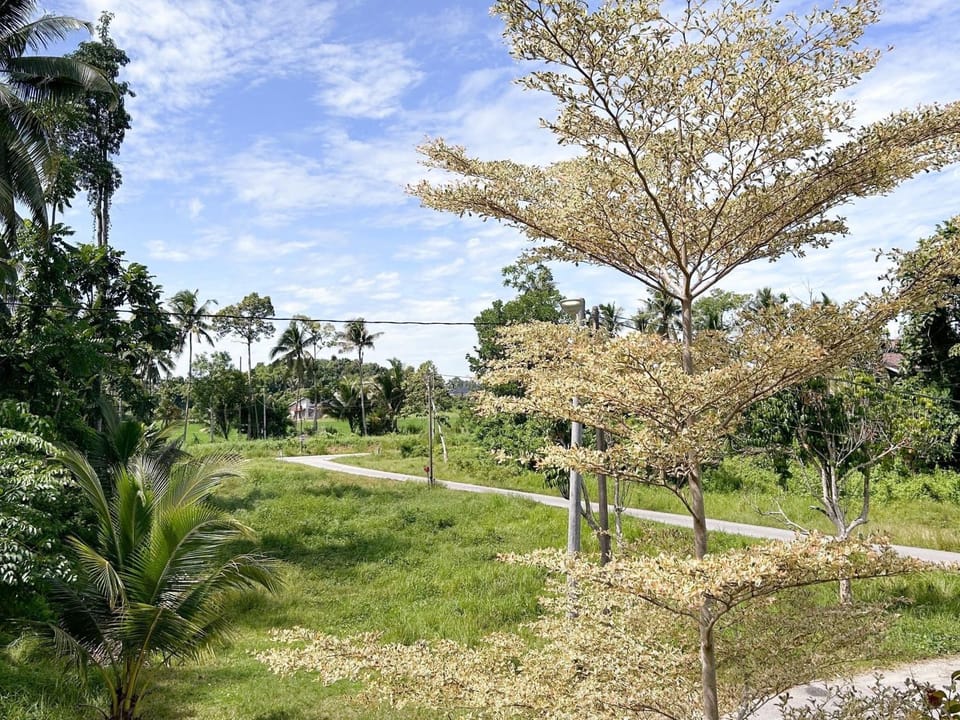 View (from property/room)