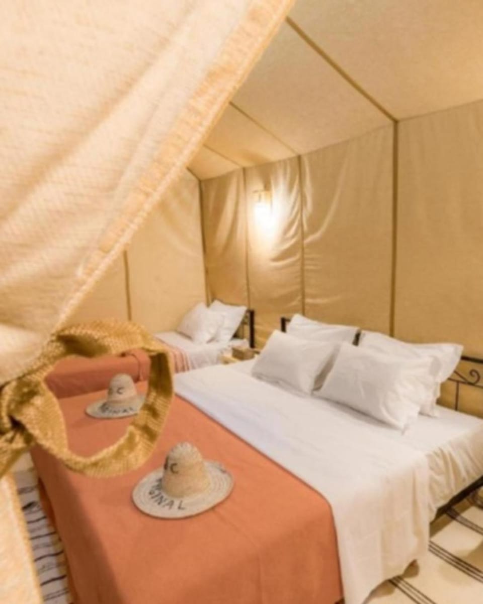 Property building, Bed, Food and drinks, Photo of the whole room, Bedroom, Drinks