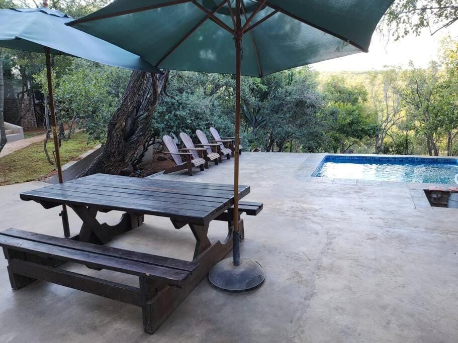 Patio, Spring, Garden view, Swimming pool, sunbed