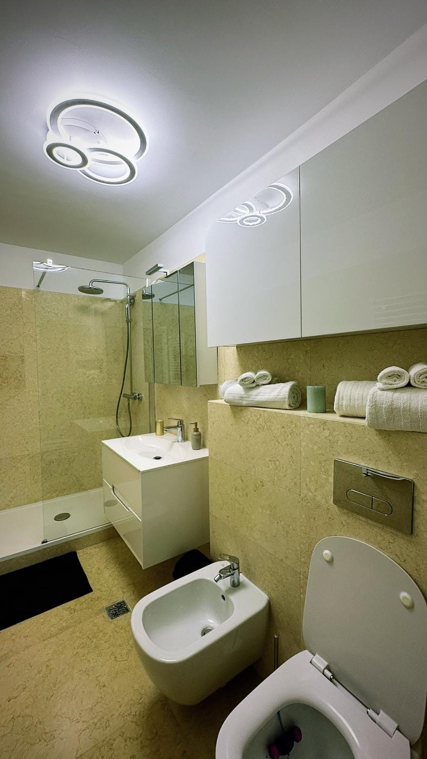 Shower, Toilet, Bathroom, bidet, towels