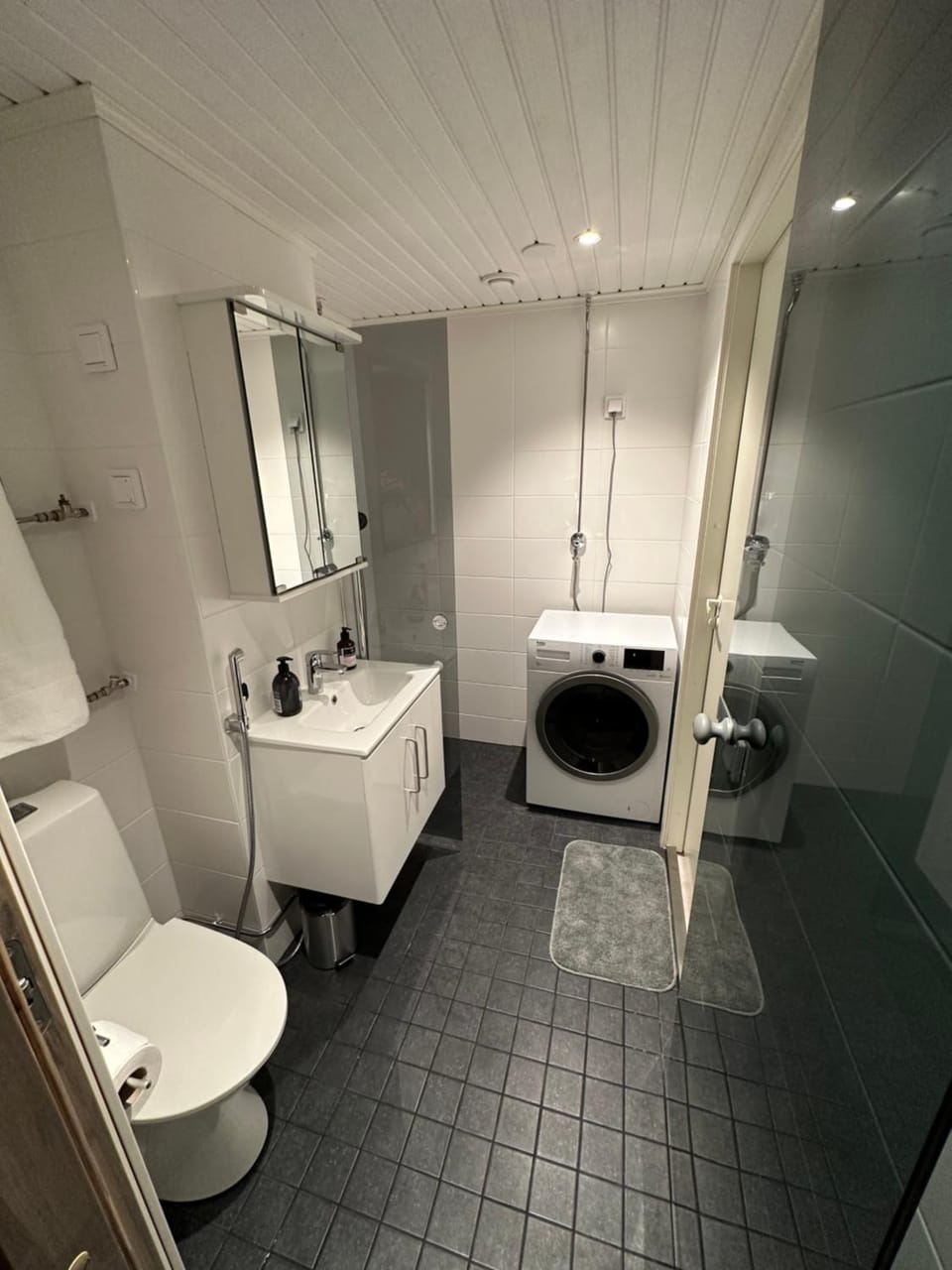 Shower, Toilet, laundry