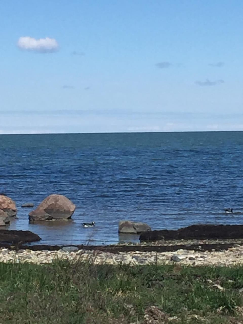 Sea view