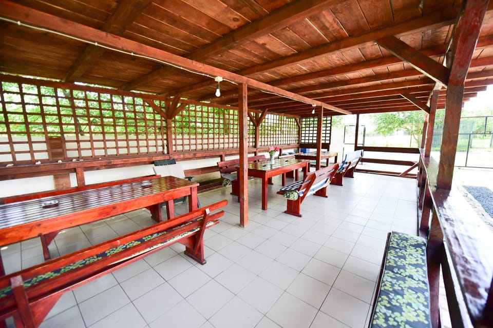 Lounge or bar
