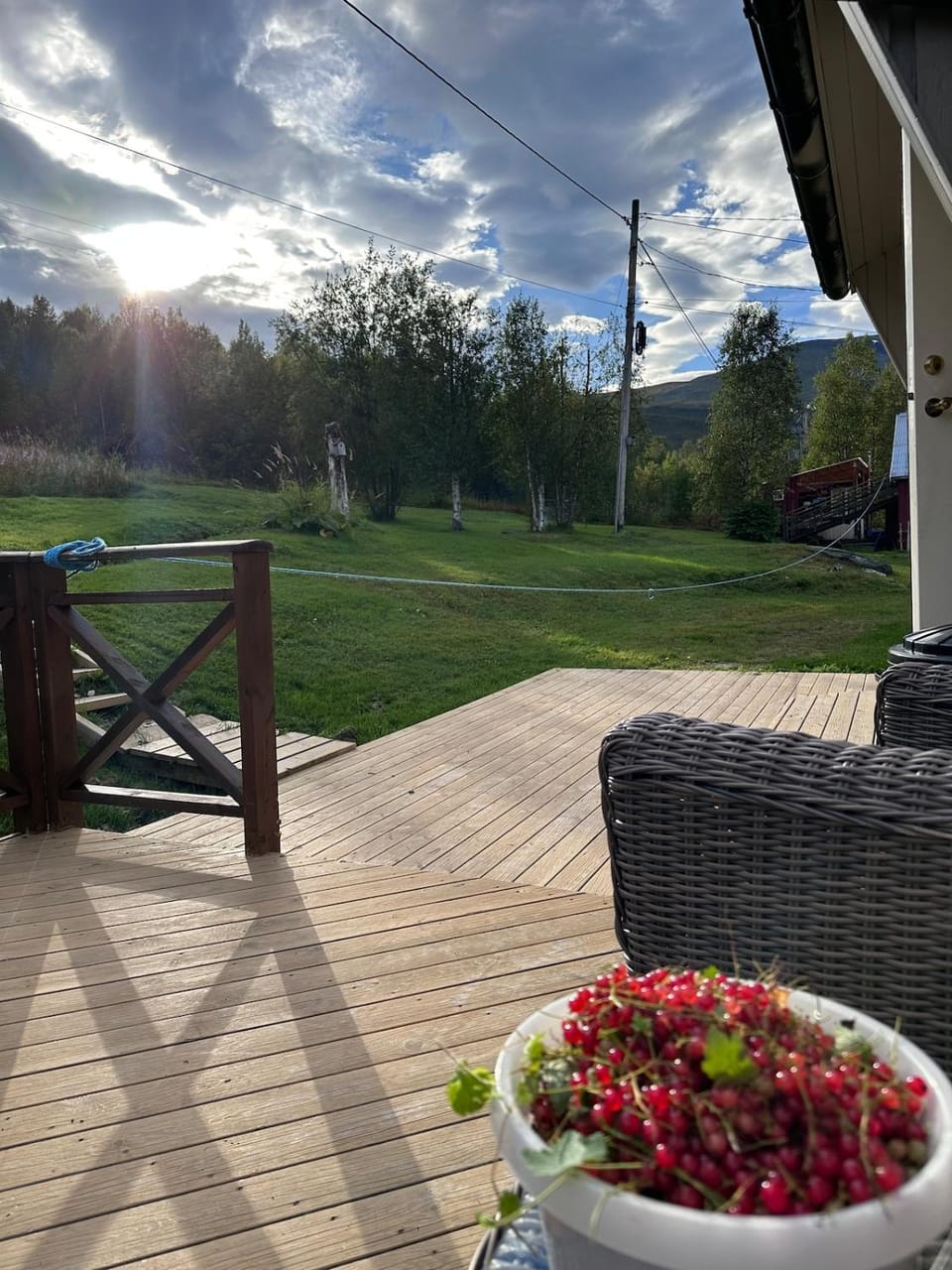 Patio, Day, Natural landscape, Garden, Garden view