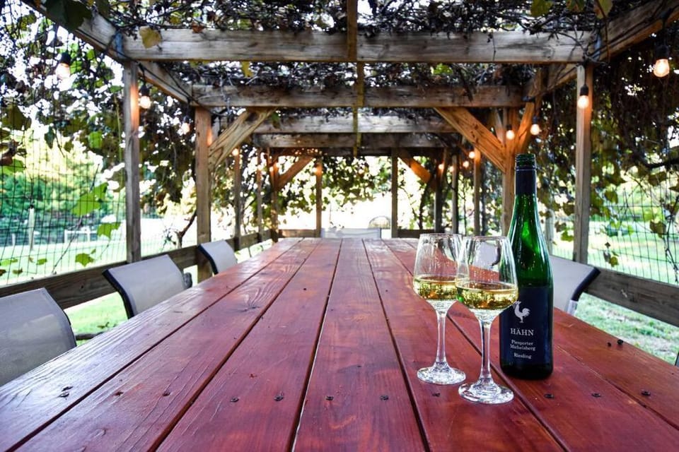 Day, Garden, Dining area, Garden view