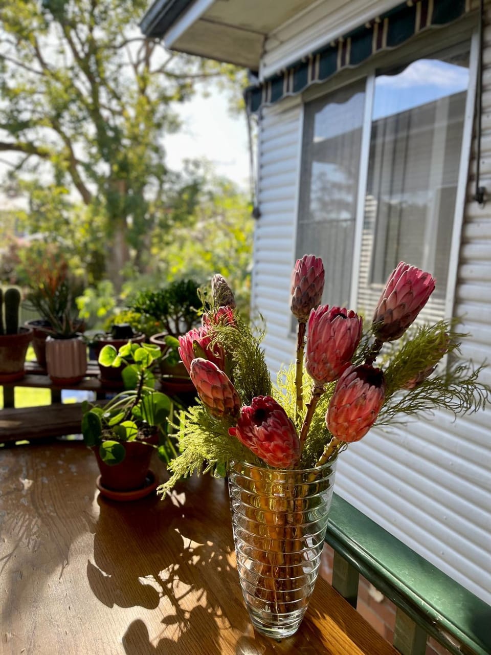 En-suite Guest Room Ryde/Macquarie Park/Eastwood Vacation rental in Sydney