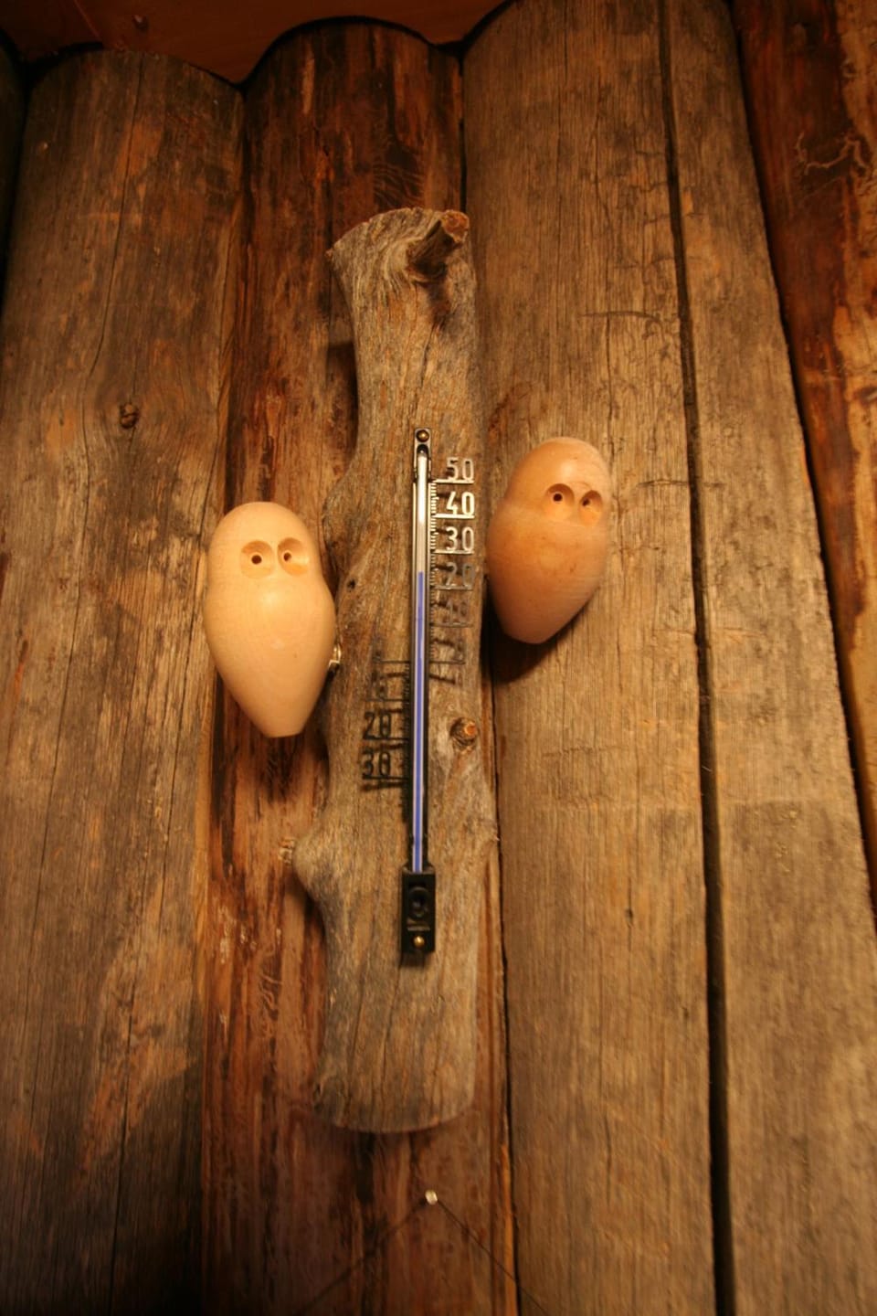 Log House Siesta Chalet in Rovaniemi