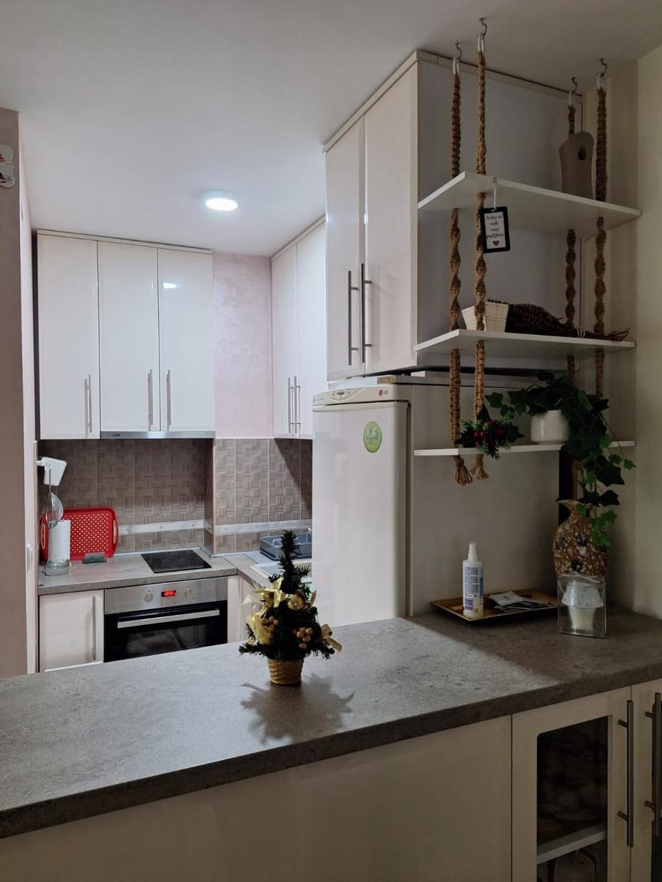 Kitchen or kitchenette, dishwasher, pet friendly, stove
