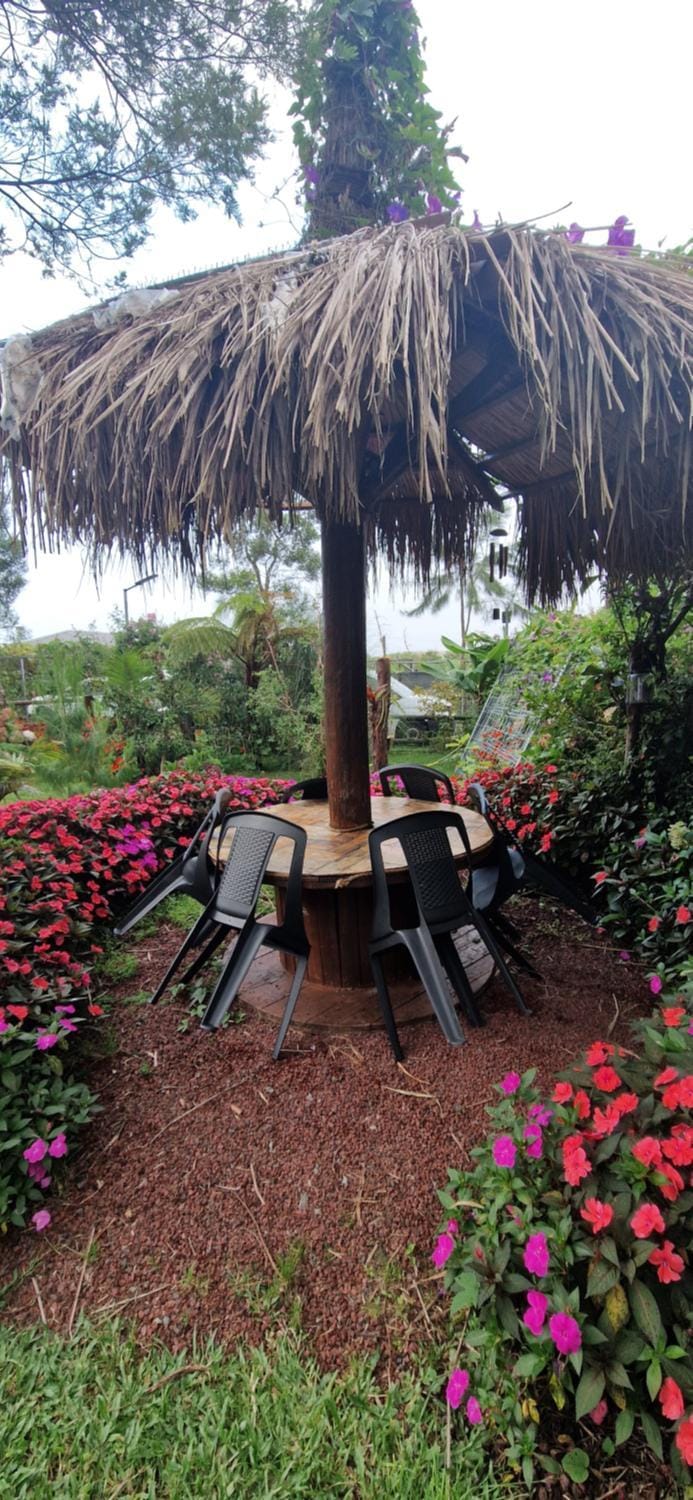 Les Balsamines chez Michèle & Daniel Vacation rental in Réunion