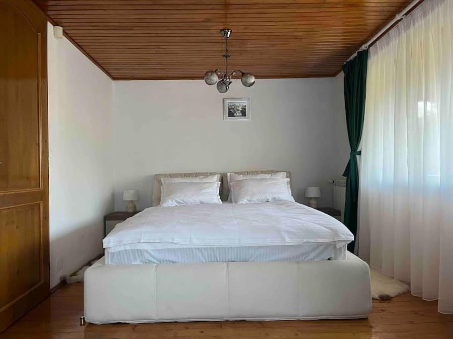Vila Tequila Sinaia Villa in Sinaia