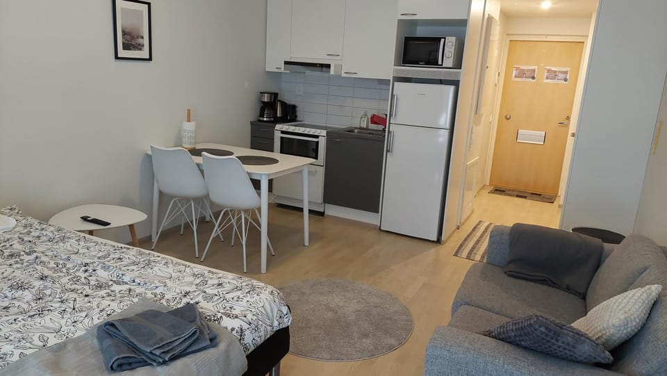 Very nice studio right next to the train station and free parking Kotimaailma Apartments Apartment in Finland